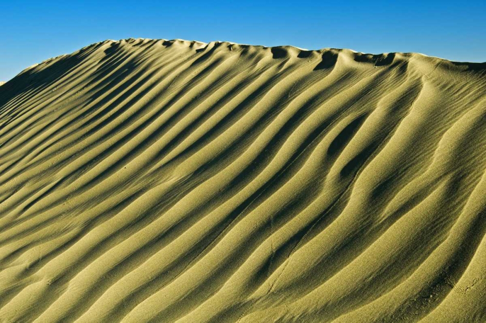 Canada, Great Sand Hills Pattern in sand dunes art print by Mike Grandmaison for $57.95 CAD